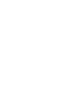 Czech Stability Award AAA Excellent